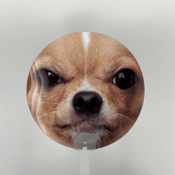 렌티큘러부채 악마견치와와 GIF 1